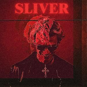 SLIVER (Explicit)