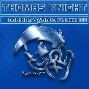 Ordinary World (feat. Lara Luu) (Extended Mix)
