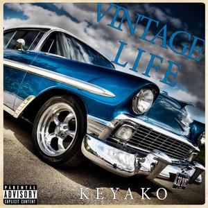 Vintage Life (feat. Don Calhoun & Ad87) [Explicit]