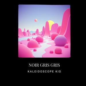 Noir Gris Gris - Kaleidoscope Kid