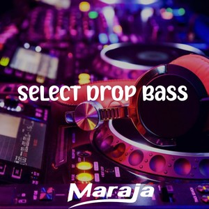 Select Drop Bass