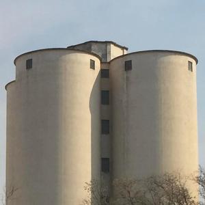 sugar mill v.501 freestyle (Explicit)