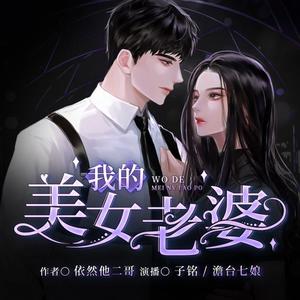我的美女老婆 39 神奇的张武 (DJ长音频)封面