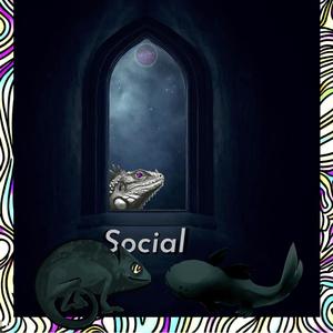 Social Iguana