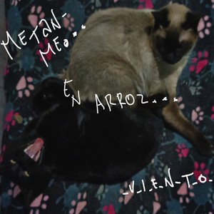 No quiero verte mas/self-harm