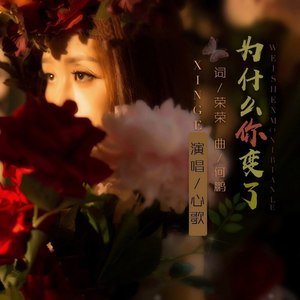 为什么你变了 (DJ何鹏版|DJ版)