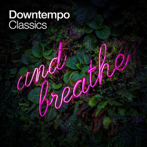 Downtempo Classics (Explicit)