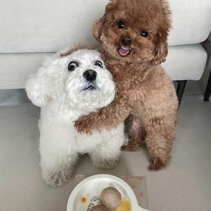 Social Media Gon Love This (Explicit)