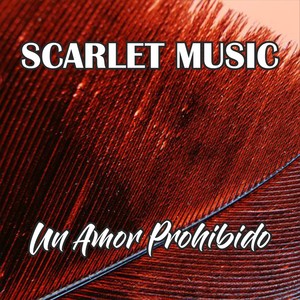 NO QUISIERA PERDERTE (Live)