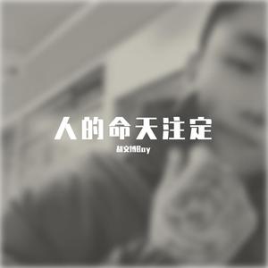人的命天注定 (DJ版)