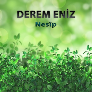 Nesîp