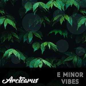 E Minor Vibes