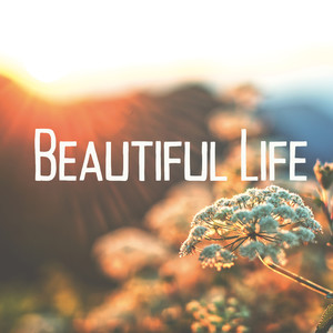 Beautiful Life