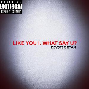 Like You I. What Say U? (Explicit)