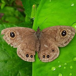 Phone Call Away (Explicit)