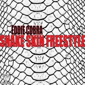 Snake Skin Freestyle (Explicit)