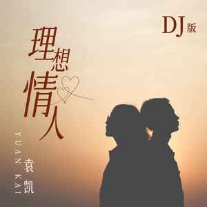 理想情人 (DJ版伴奏)