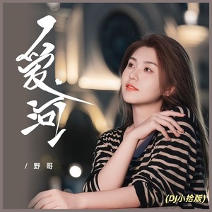 爱河 (DJ小拾版)封面