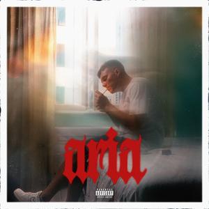 Aria (Explicit)
