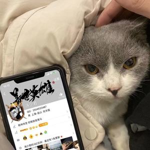 我只想做你的太阳 (改编版原唱: 邱振哲|DJ咚鼓版)