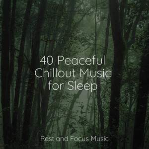 40 Peaceful Chillout Music for Sleep