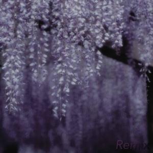 Wisteria (slowed) (inelvy remix)