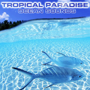 Tropical Paradise Ocean Sounds