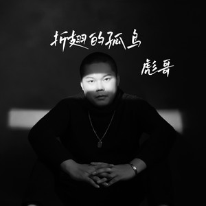 折翅的孤鸟