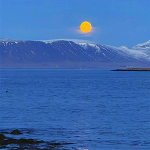 Love Me More-Grimmmz