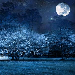 生命之歌 (伴奏)