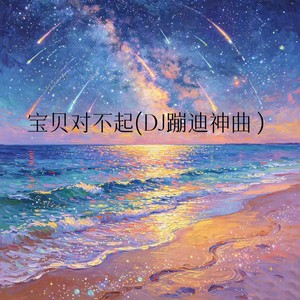 宝贝对不起-DJ苏魏