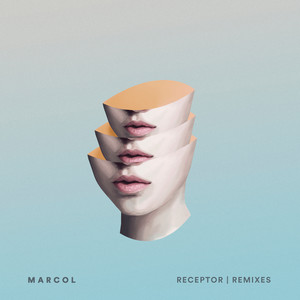 Receptor (Remixes)