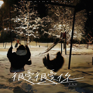 王大宝 - 很爱很爱你 (深情版)