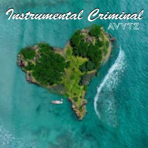 Instrumental Criminal