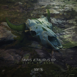 Taurus (RNDM. Remix)