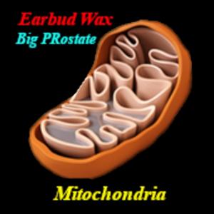 Mitochondria (feat. BIG PROSTATE)