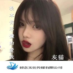 灰猫 - 明明你很爱我