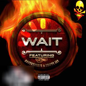 Wait (Explicit)
