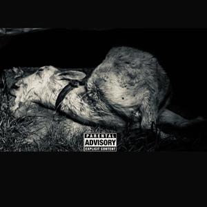 Zoochosis (Explicit)