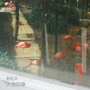 大地回春 (Radio Mix)