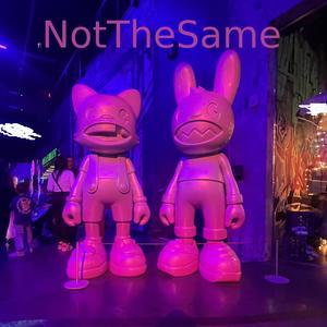 NotTheSame (Explicit)