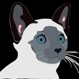 Animalz (feat. Lil Yinz) (Explicit)