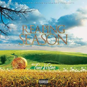 Reaping Season (Explicit)