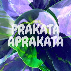 Aprakata