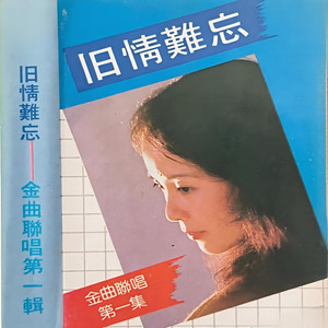 旧情难忘 金曲联唱（2）