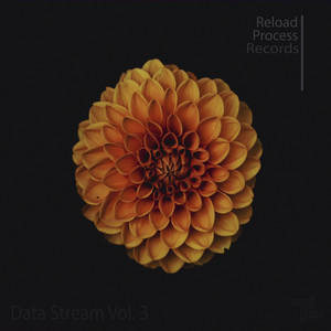 Observer (Joel Pasco Remix)