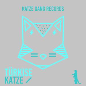 Turkise Katze