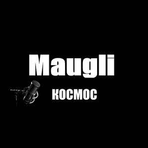 Космос
