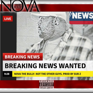 Not The Other Guys (Explicit)