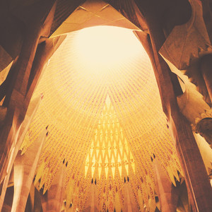 病入膏肓 (电摇版)